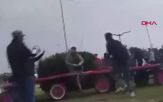 Sahibinin, koşmadığı için dövdüğü at bayıldı