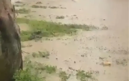 Adana'da Kar ve Sağanak Yağış