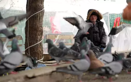 Kemal Amca'nın Kuş Sevgisi