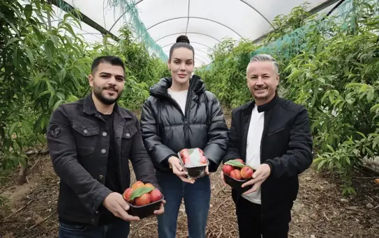 Mersin'de Nektarin Hasadı Başladı