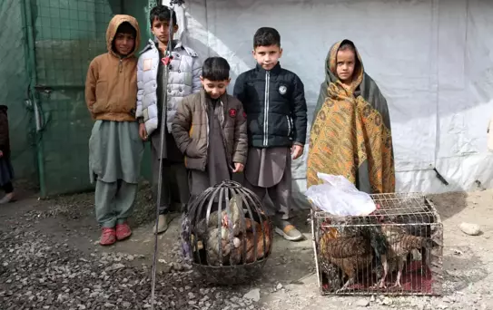 3 Milyon Afgan Mülteci Ülkesine Döndü