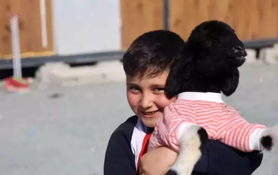 Hatay'da 'Boncuk' İsimli Kuzu, Çocukların Arkadaşı Oldu