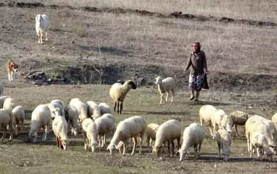 Bursa'da Aile İçi Cinayet: Ayşe Eken Hayatını Kaybetti