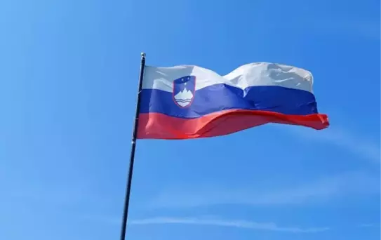 Slovenya'da Genel Seçim Heyecanı