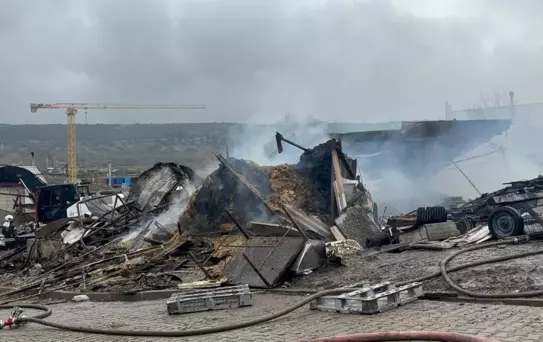 Dilovası'ndaki Ahır Yangını: 460 Hayvan Telef Oldu