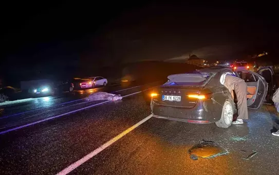 Bingöl'de At kazası: 4 Yaralı