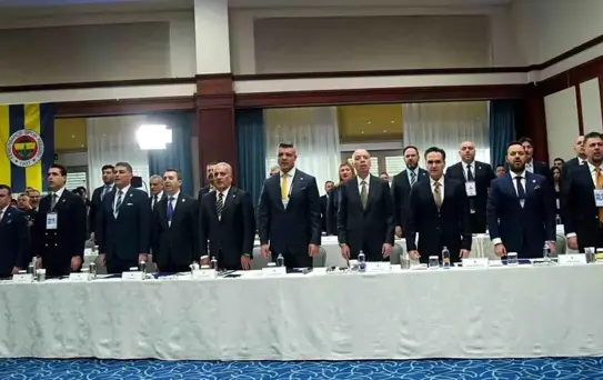 Fenerbahçe'nin Sermaye Artışı Onaylandı