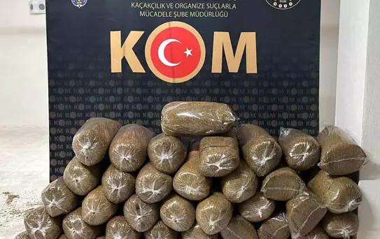 Kırşehir'de 200 Kilogram Kaçak Tütün Ele Geçirildi