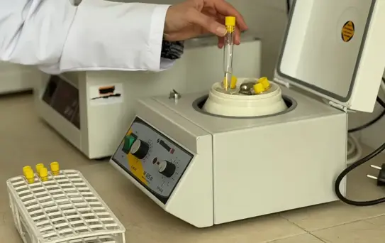 Ankara Üniversitesi'nde Hayvan Genetiği Araştırmaları