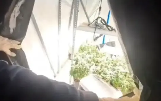 Kocaeli'de Uyuşturucu Operasyonu: 36 Gözaltı