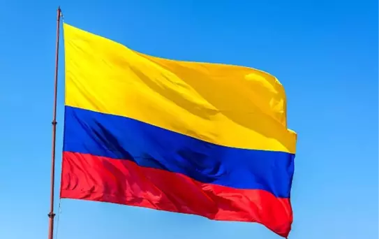 Kolombiya'da Uçak Kazası: 69 ölü, 3 Gün Ulusal Yas