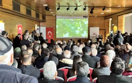 AB tarafından tescillenen Yenice ıhlamur balı tanıtıldı