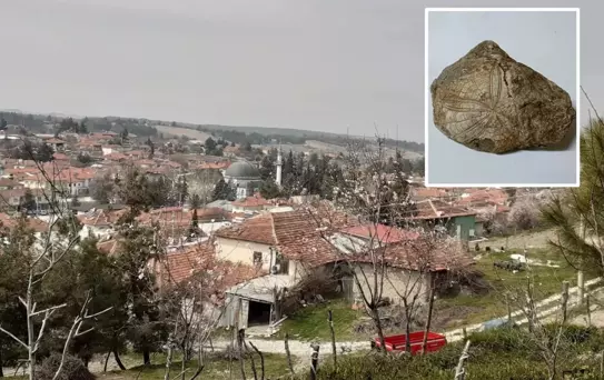 Baklan'da milyonlarca yıllık deniz yıldızı fosili bulundu