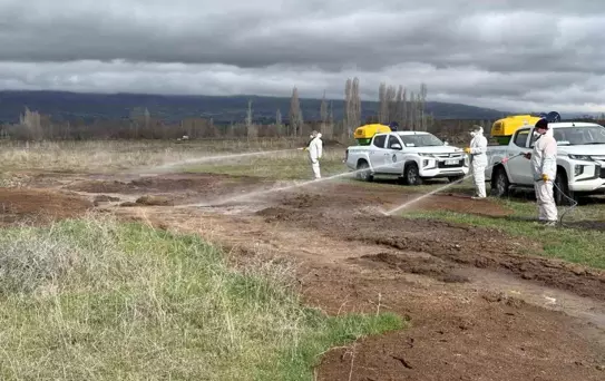 Çorum Belediyesi'nden yaz öncesi vektörle yoğun mücadele