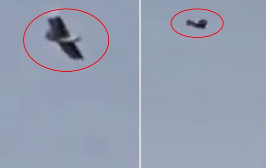 İran üzerinde kuş görünümlü insansız hava aracı görüntülendi
