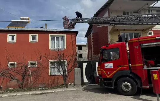 Van'da Çatıda Mahsur Kalan Yavru Kedi Kurtarıldı