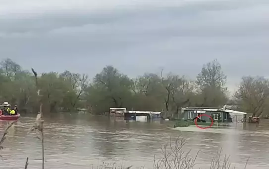 Bursa'da Selde Mahsur Kalan İki Köpek Kurtarıldı