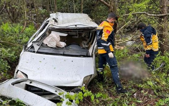 Borçka'da Uçurum Kazası
