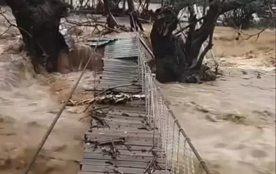 Yalova'da Sağanak Sele Neden Oldu