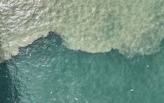 Haliç Kahverengiye Büründü