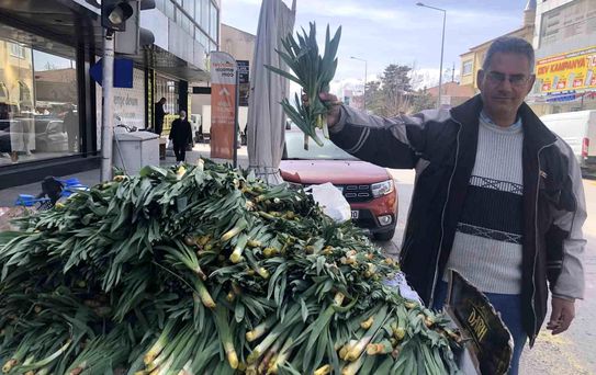 Doğal Antibiyotik: Çiriş Otu Tezgahlarda!
