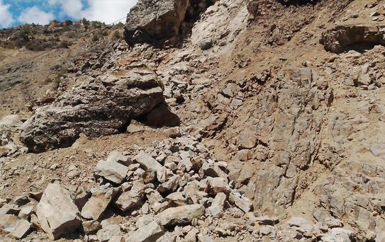 Torul'da Heyelan, Grup Yolu Kapatıldı