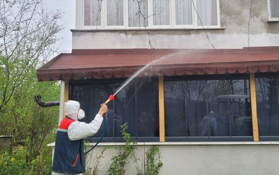 Kahverengi Kokarca Mücadelesi Devam Ediyor