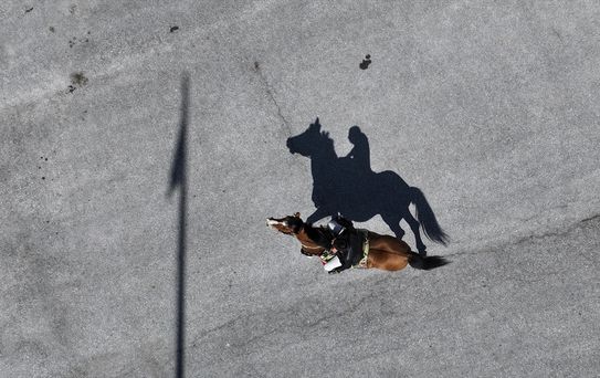 At Sırtında Muhtarlık Yapıyor