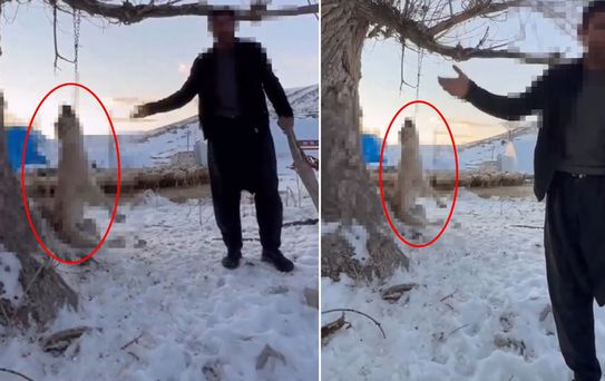 Çok yediği için köpeğini ağaca asıp öldüren şahıs tutuklandı