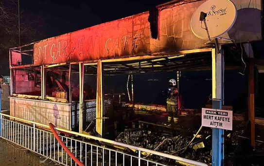 Gemlik'te Yangın Kontrol Altında