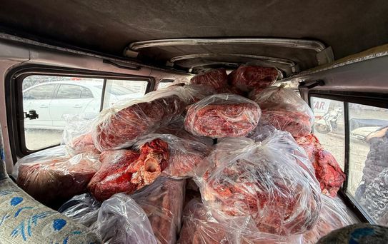 Gastronominin başkentinde rezil görüntüler! Hemen el konuldu