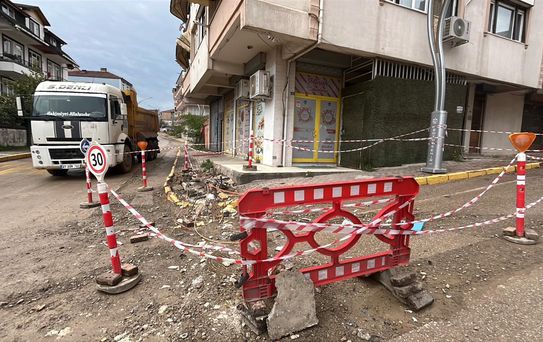 Çalışır vaziyette bırakılan kamyon dehşet saçtı! Yaşlı adam feci şekilde can verdi