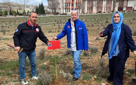 Kütahya'da şehit itfaiye eri anısına fidan dikildi