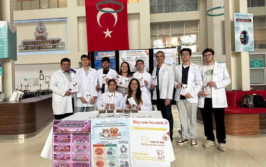 Muğla'da Sokak Hayvanları İçin Farkındalık Etkinliği