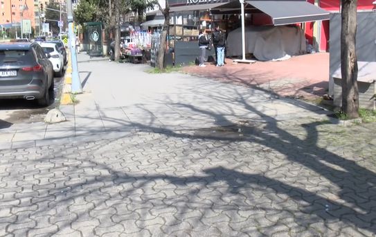 Kadıköy'de Kargo Aracının Ezdiği Köpek Hayatını Kaybetti
