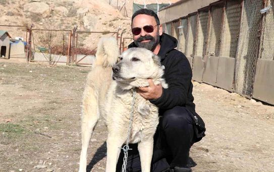 Kangal ve Sibirya Kurdunun Barış Mesajı