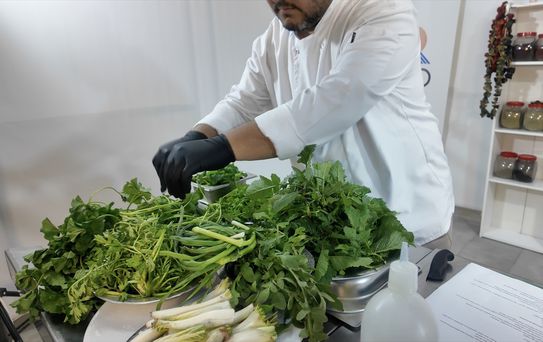Adıyaman'da Yabani Otlarla Yerel Yemek Projesi
