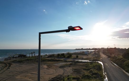 Caretta Yavruları için Kırmızı LED Dönüşümü
