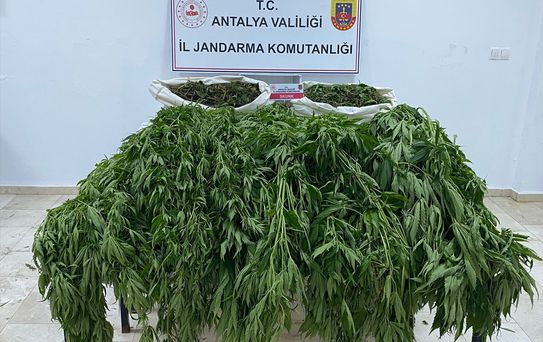 Serik'te Uyuşturucu Operasyonu: 1 Tutuklama