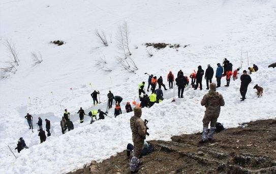 Ardanuç'ta Çığ Altında Kalan Çoban Aranıyor