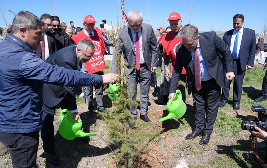 AYBÜ'de 2 Bin Fidan Dikildi