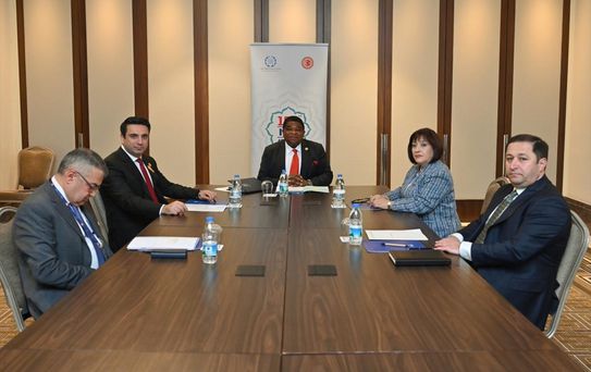 Azerbaycan ve Ermenistan İlişkileri İstanbul'da Görüşüldü