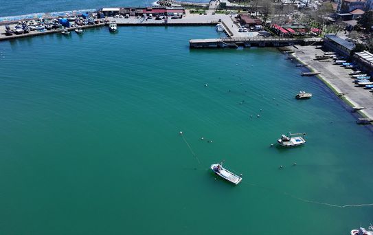 Balıkçılıkta Kötü Sezon: Umutlar Geleceğe Kaldı