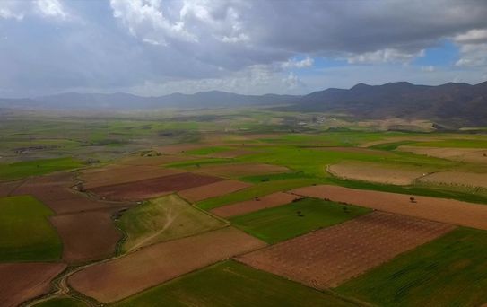 Batman'da Çiftçiler Yağışla Yüksek Rekolte Bekliyor