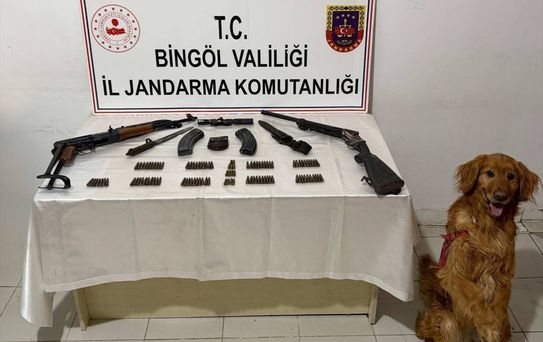 Bingöl'de Yasa Dışı Silah Ele Geçirildi