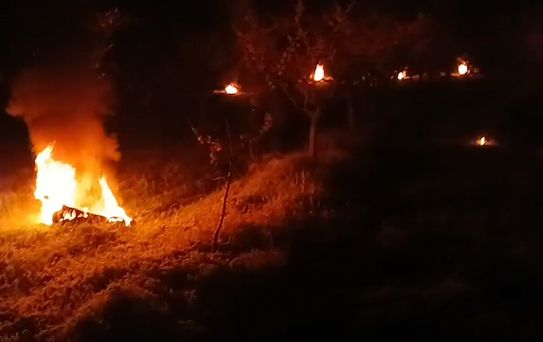 Bolu'da Meyve Üreticileri Don Nöbeti Tutuyor