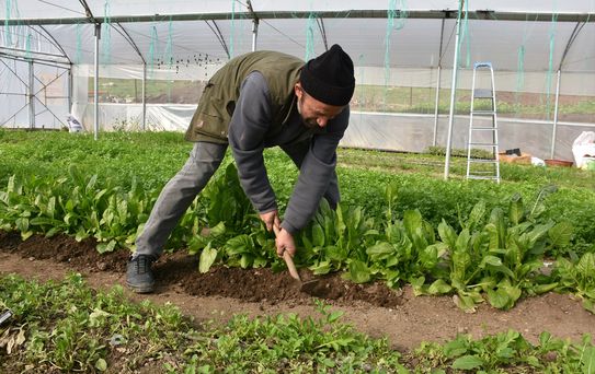 Sera ile Aile Geçimini Sağlıyor