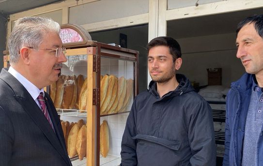 Vali Yılmaz Alpu'da İncelemelerde Bulundu