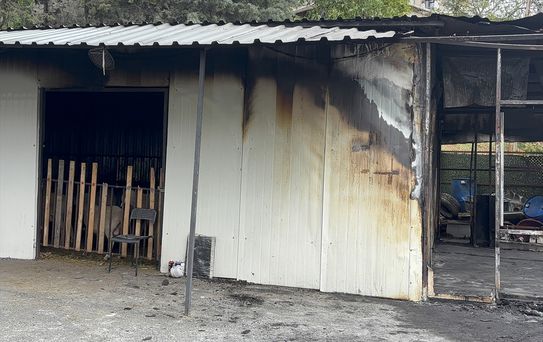 Eyüpsultan'da Kurban Satış Merkezinde Yangın: 1 Ölü