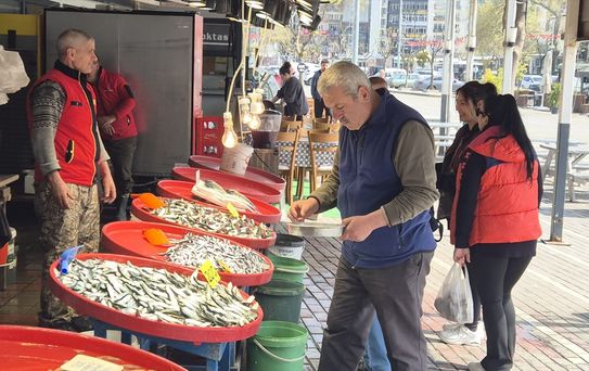 Balıkçılar Düşük Fiyatlardan Şikayetçi